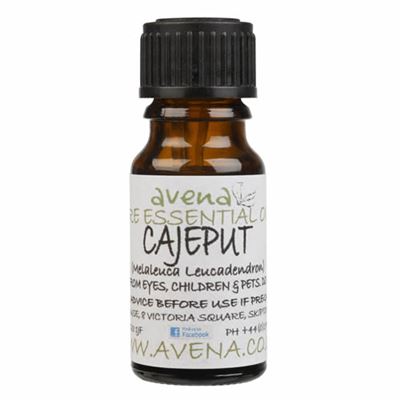 Cajeput Essential Oil (Melaleuca leucodendron)